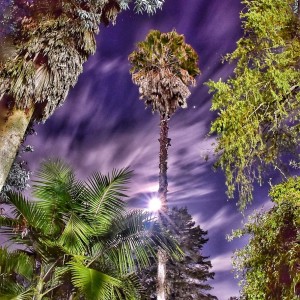 Noche de Luna llena