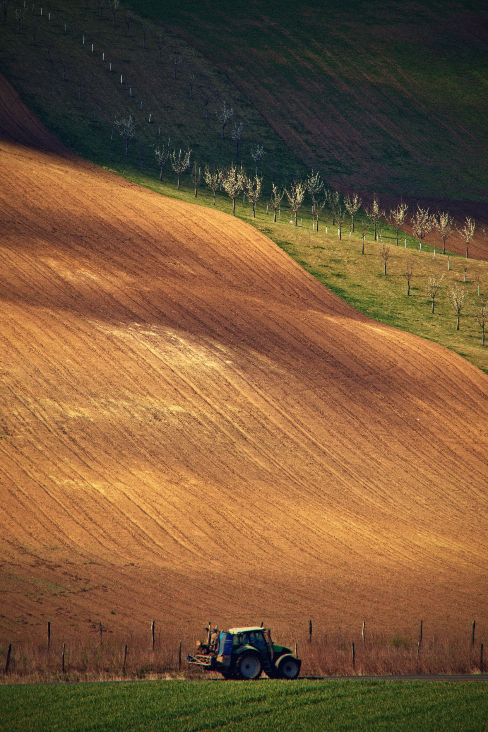 Cesta krajinou.