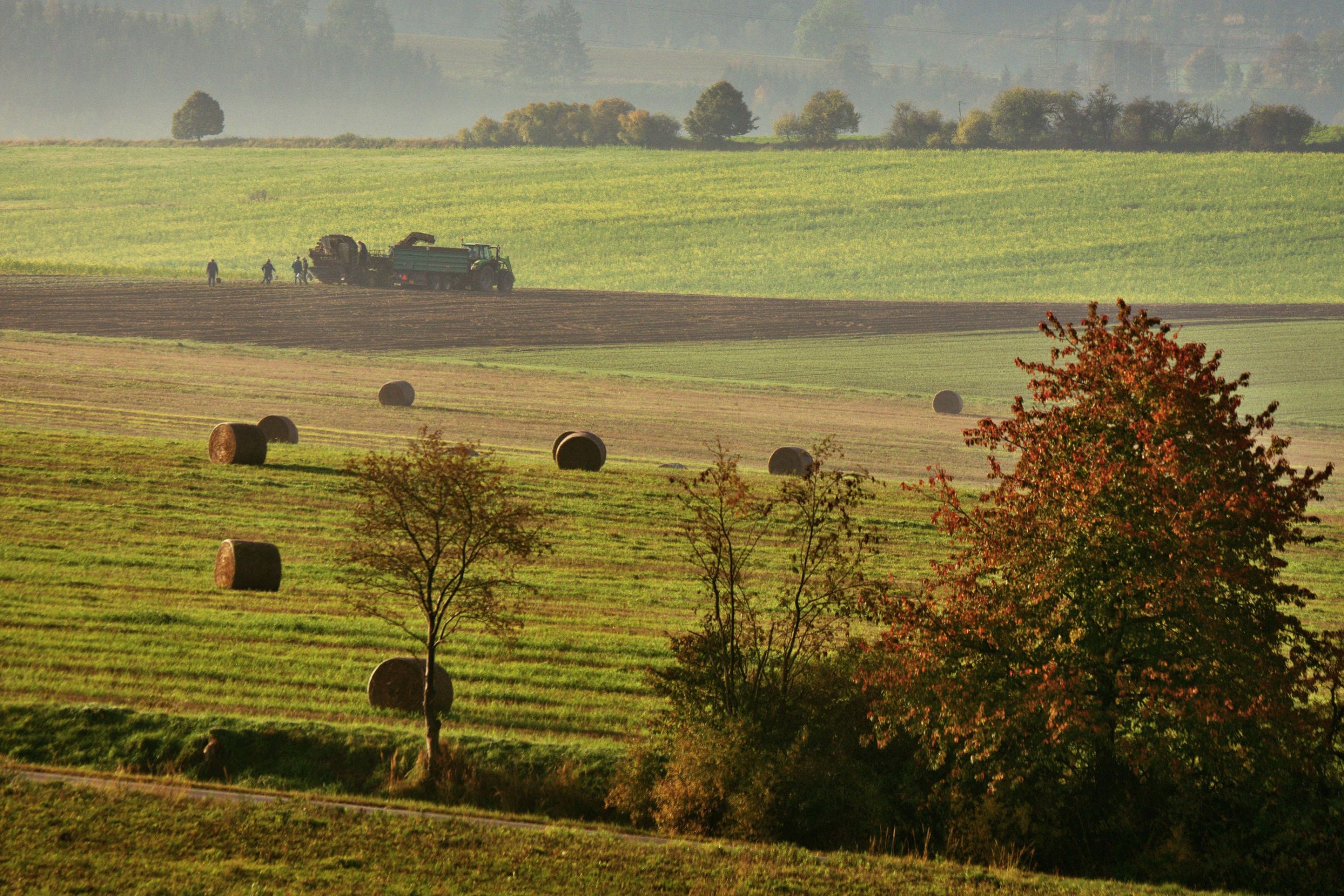 Říjnová.