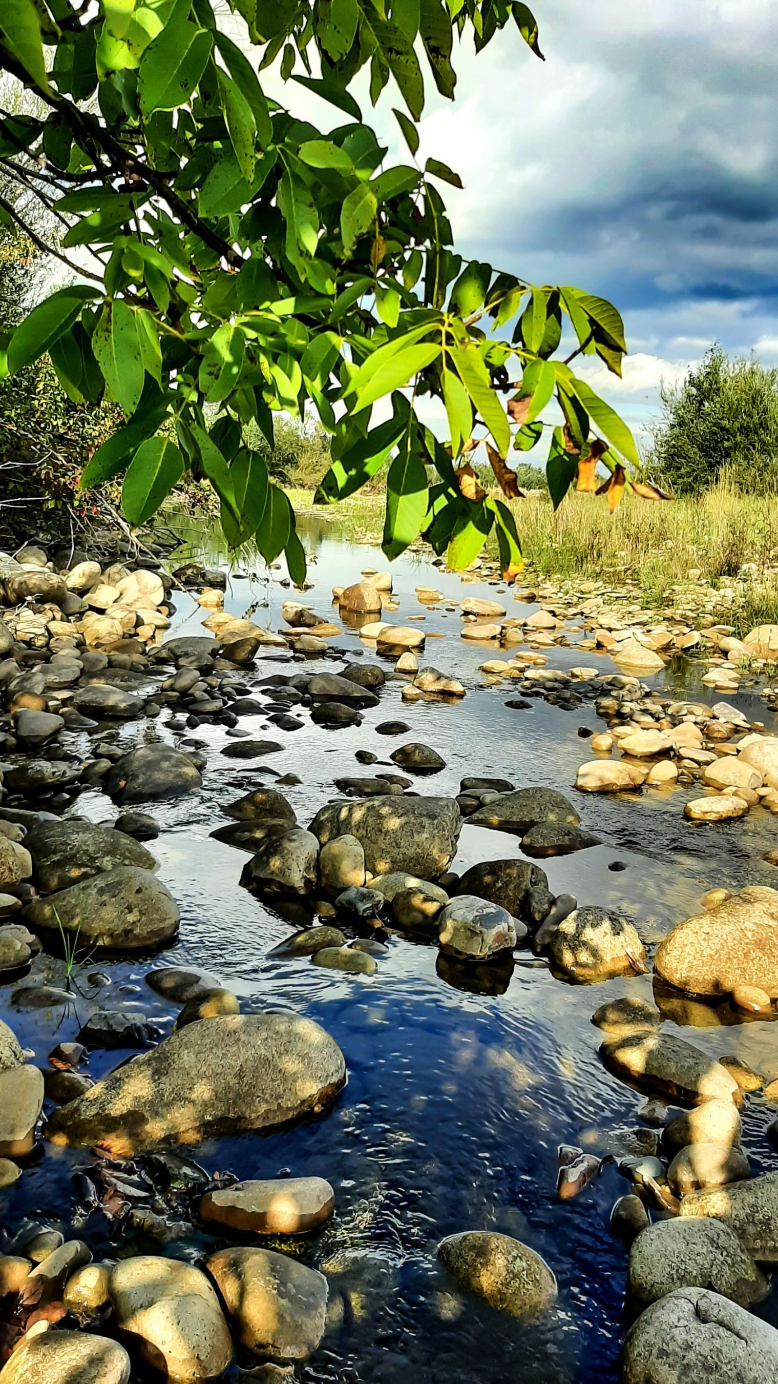 ОСІНЬ