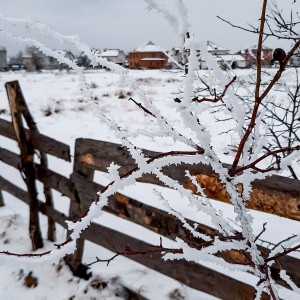 Там за тином