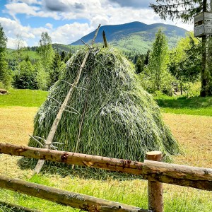 Літо в Карпатах