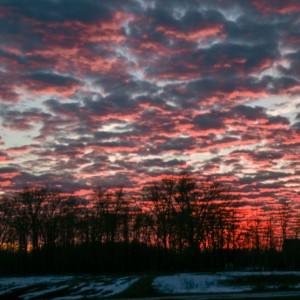 Winter, sunset