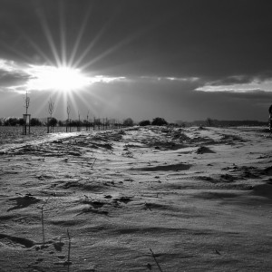 Frosty sunshine walk