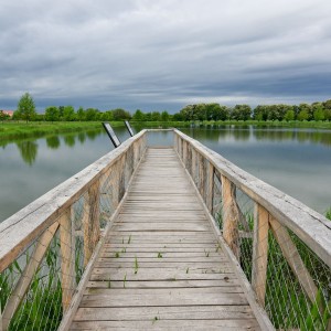 Path to lake