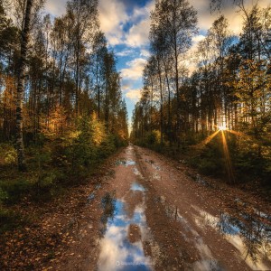 Autumn road