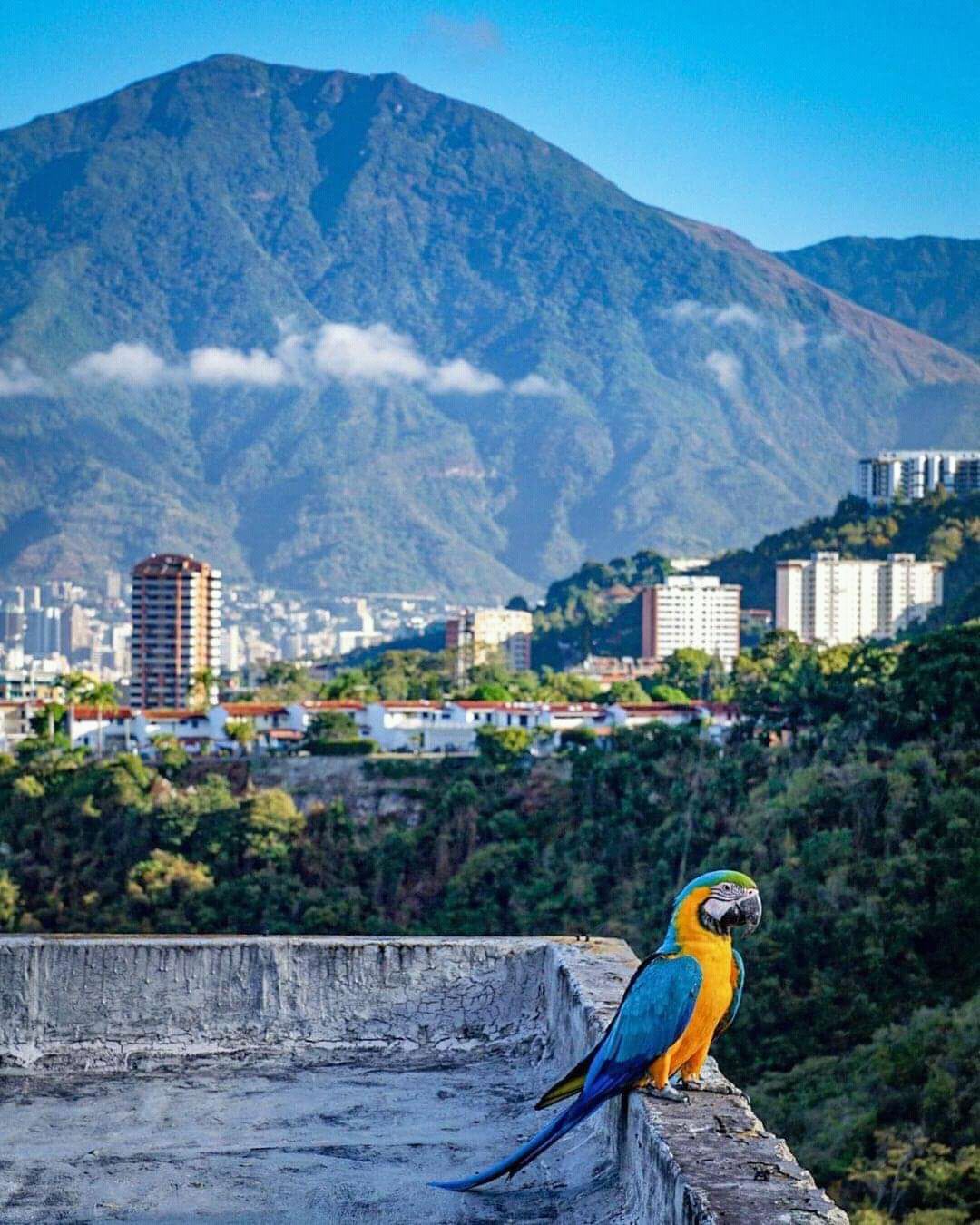 Caracas/Venezuela
