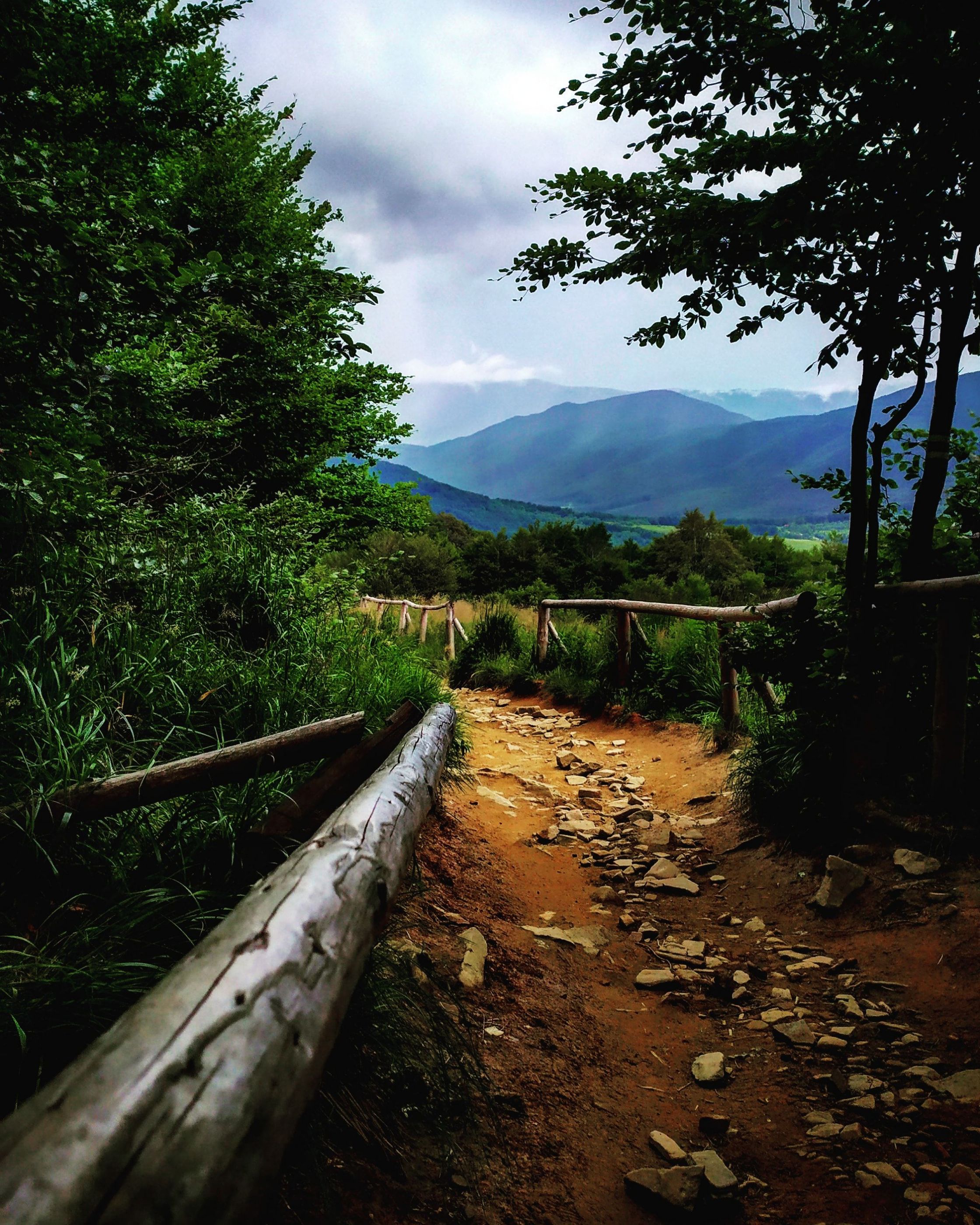 Polish Bieszczady Mountains