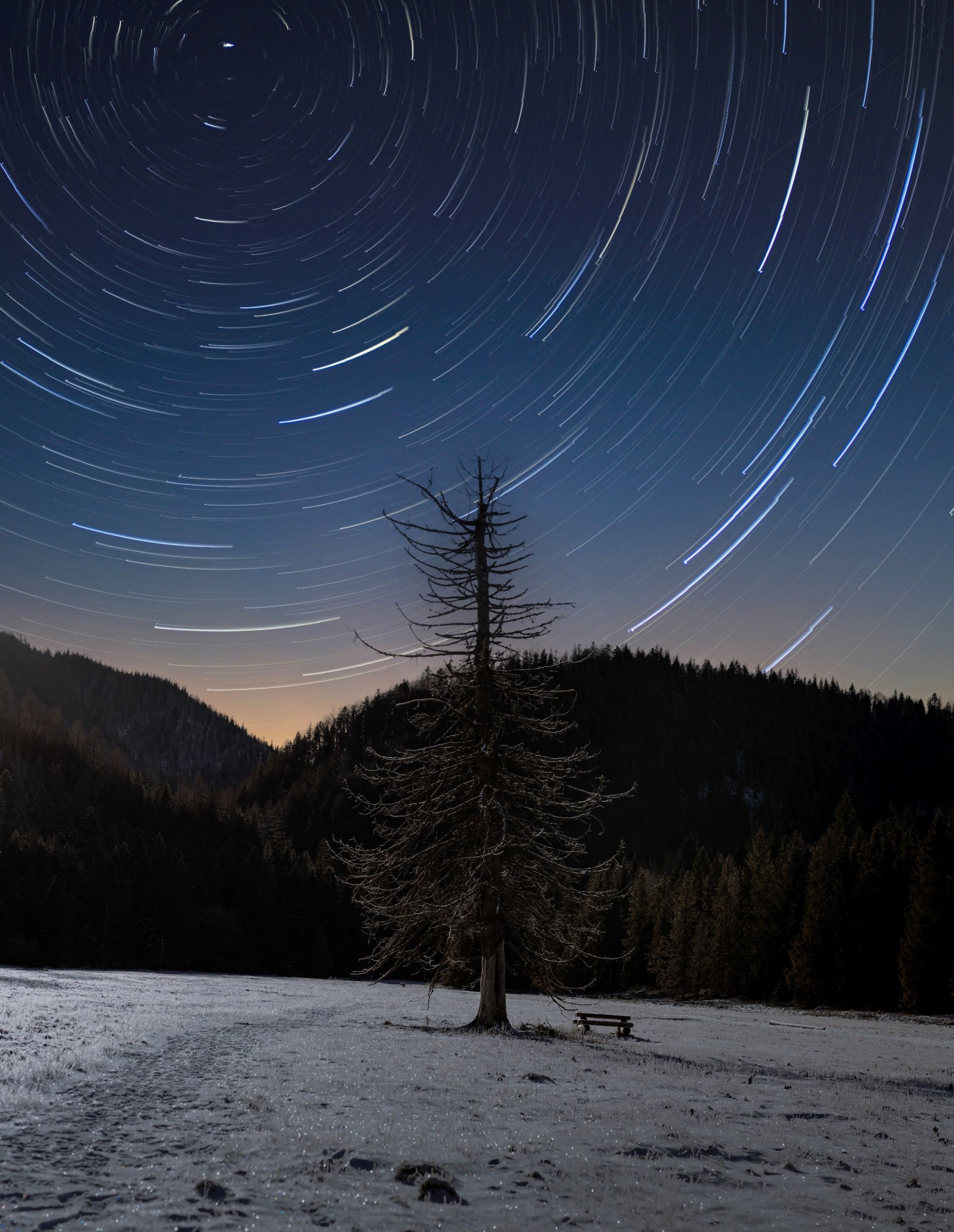 Startrails