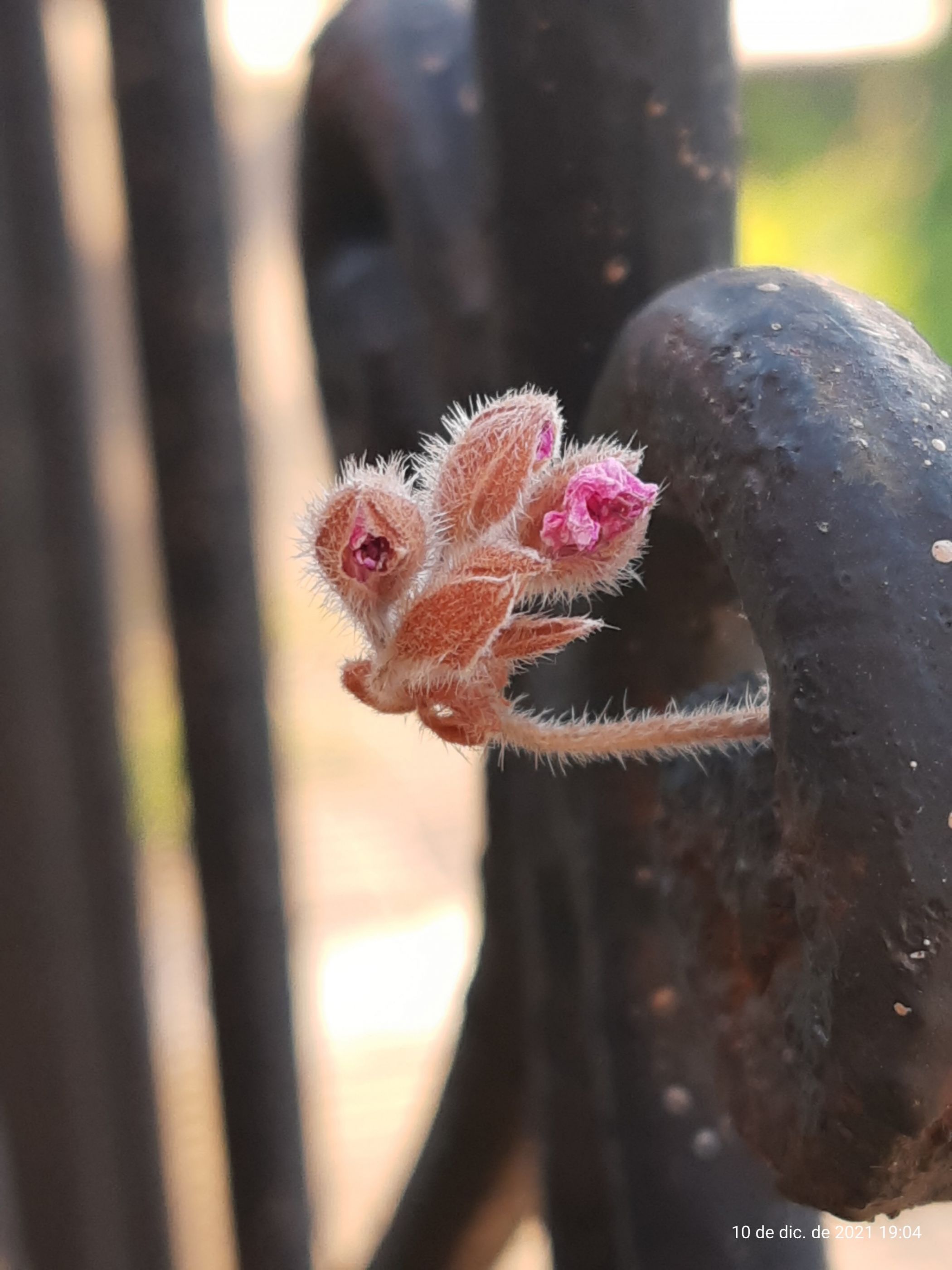 Ojos atentos