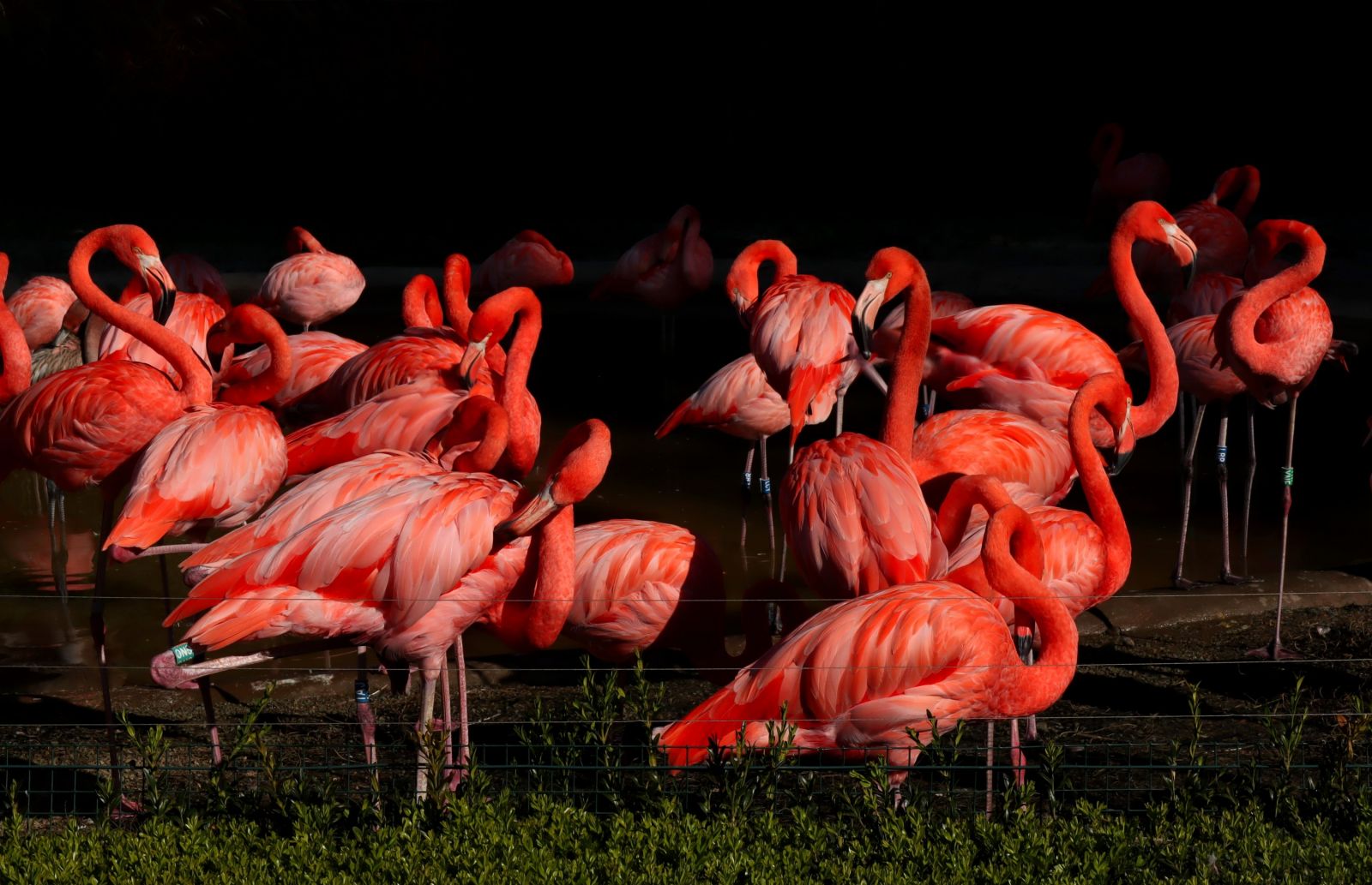 ZOO Ostrava