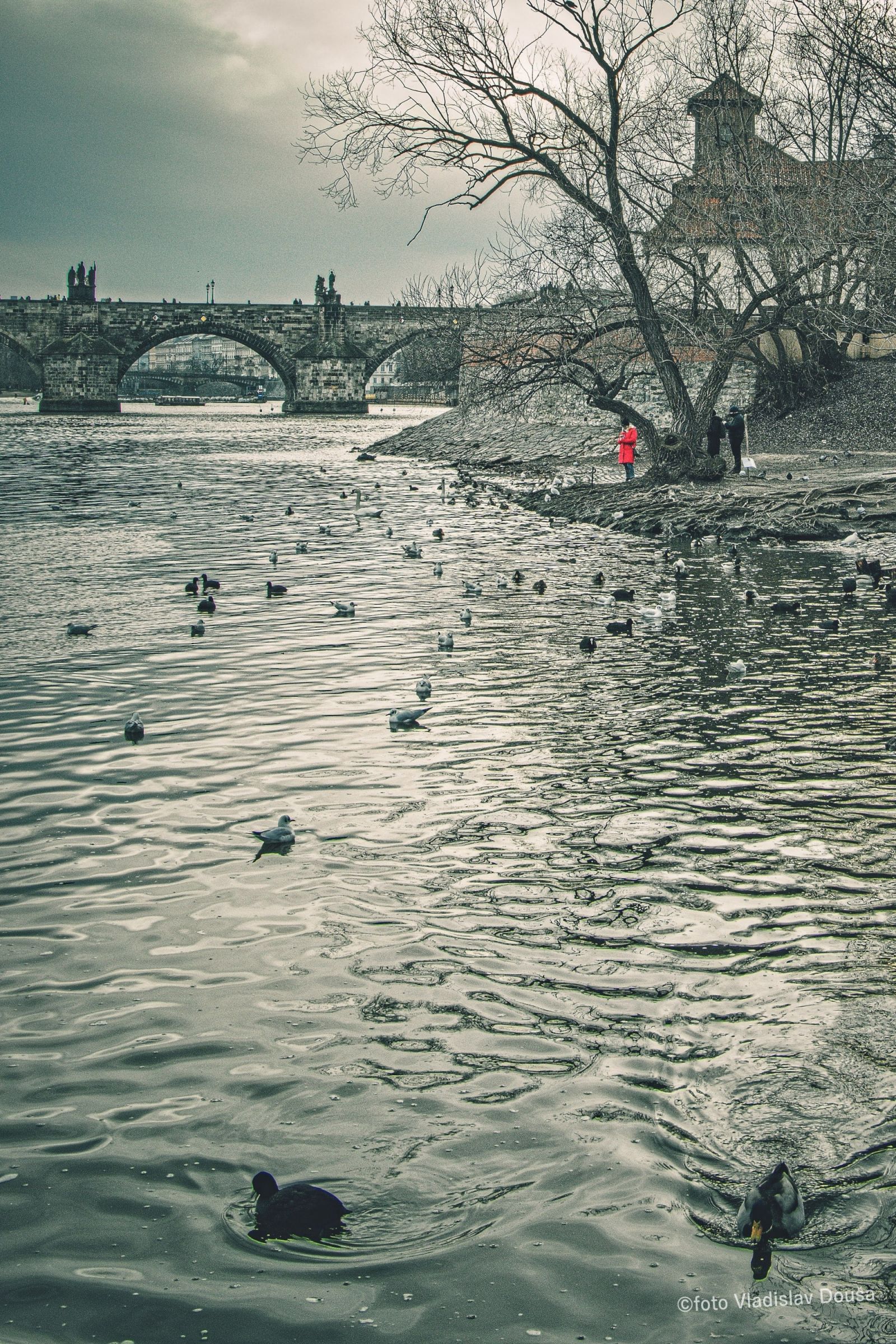 Vltava River