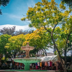 Parque ecológico Tehuacán