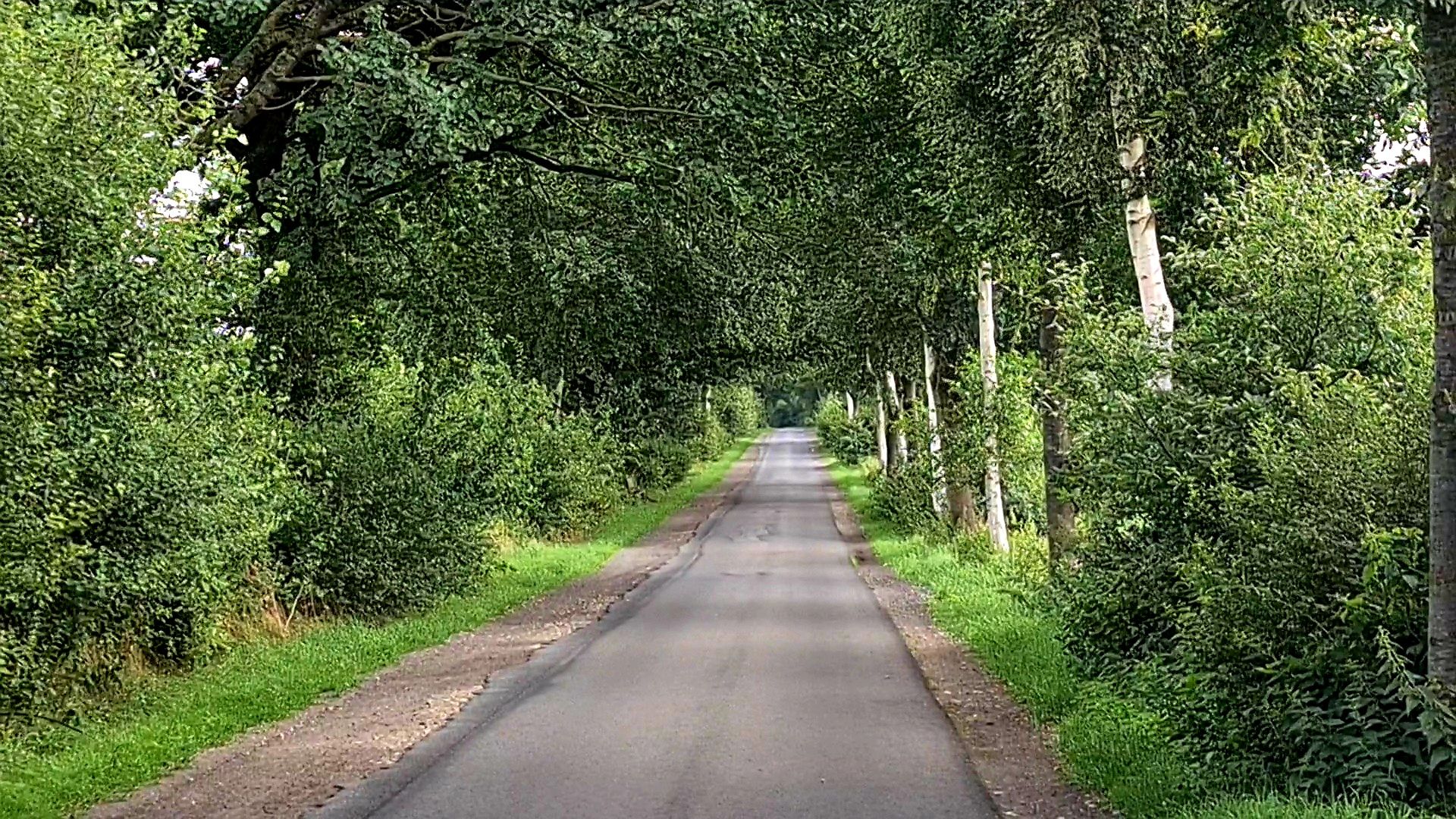 Straße vor meiner Haustür