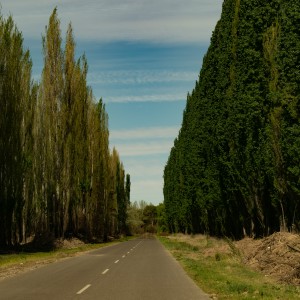 Camino de chacras