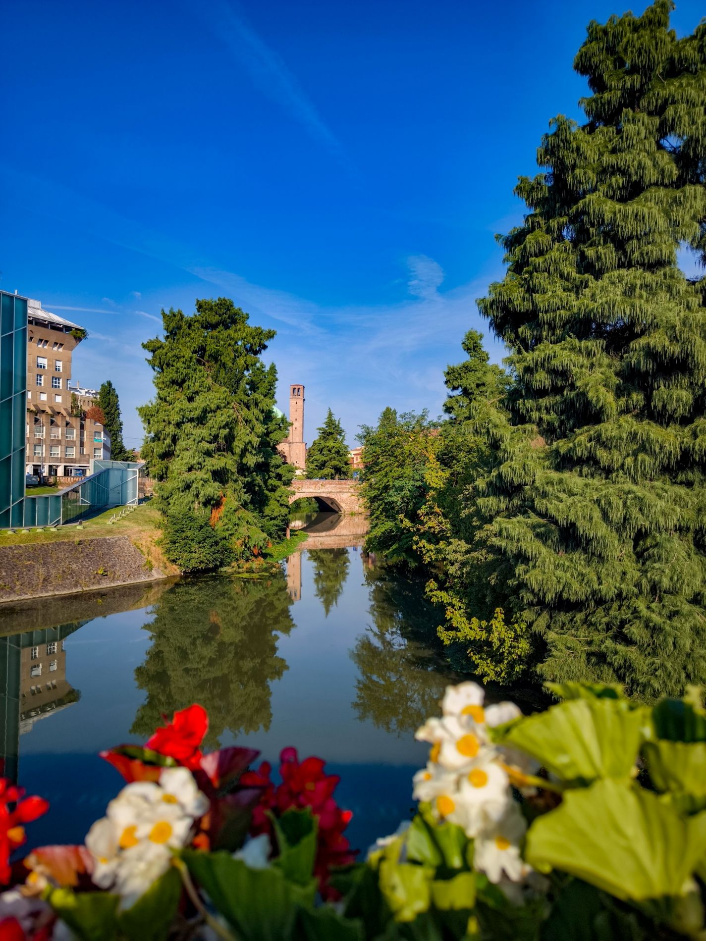 Padova . Italy