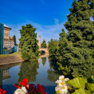 Padova . Italy