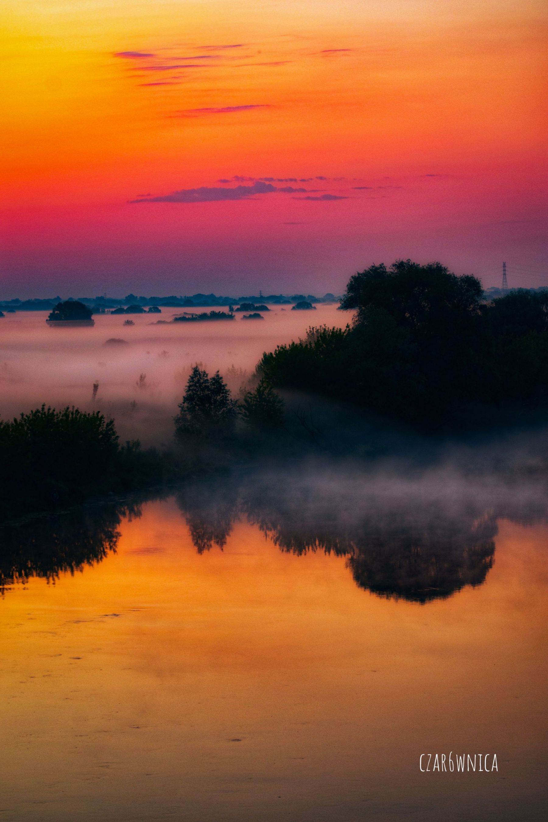 Poranek nad Narwią