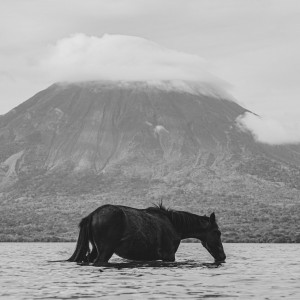 Caballo en el Cocibolca