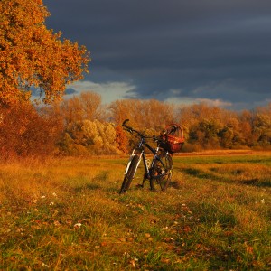 bicyklový výlet pri rieke Morava