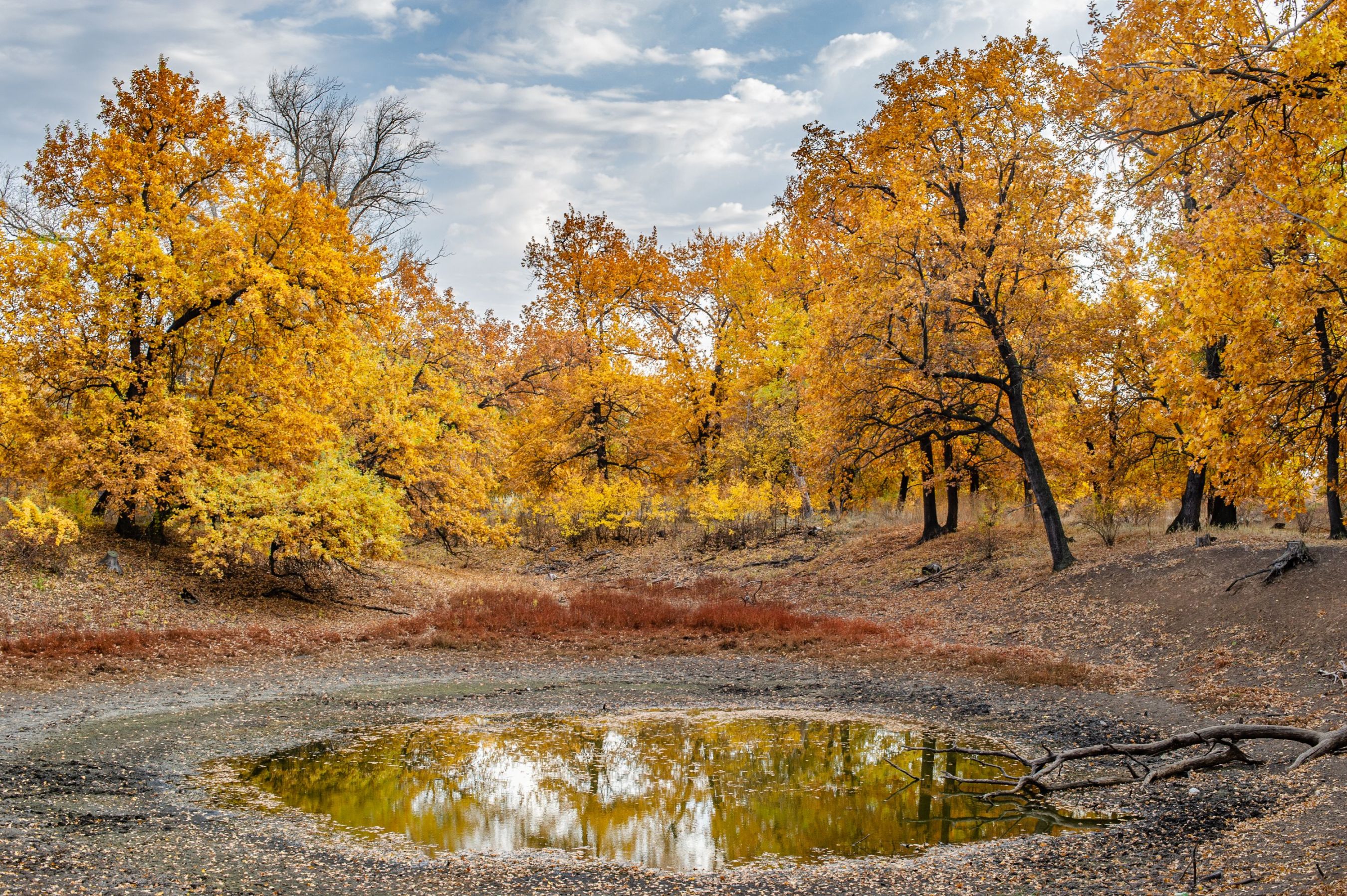 Осенью