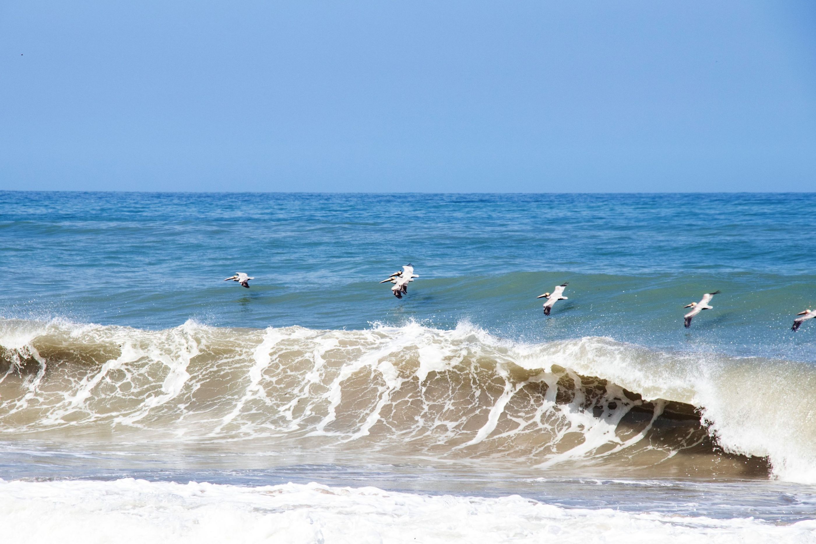 Sobrevolando el mar